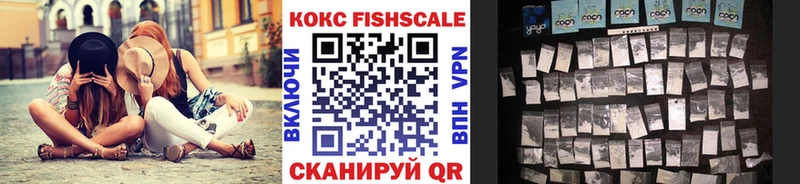 где купить наркотик  Копейск  omg   Кокаин Fish Scale 