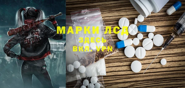 гашик Вязьма