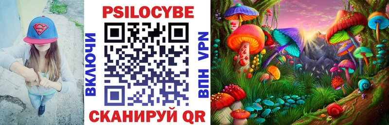 Псилоцибиновые грибы мухоморы  наркошоп  ссылка на мегу маркетплейс  Копейск 