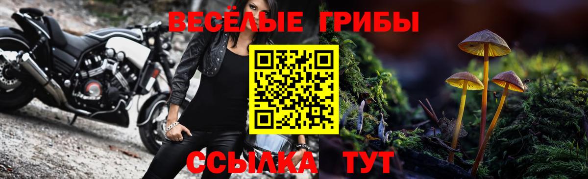 купить закладку  Вход с VPN  Копейск  Галлюциногенные грибы Psilocybe 